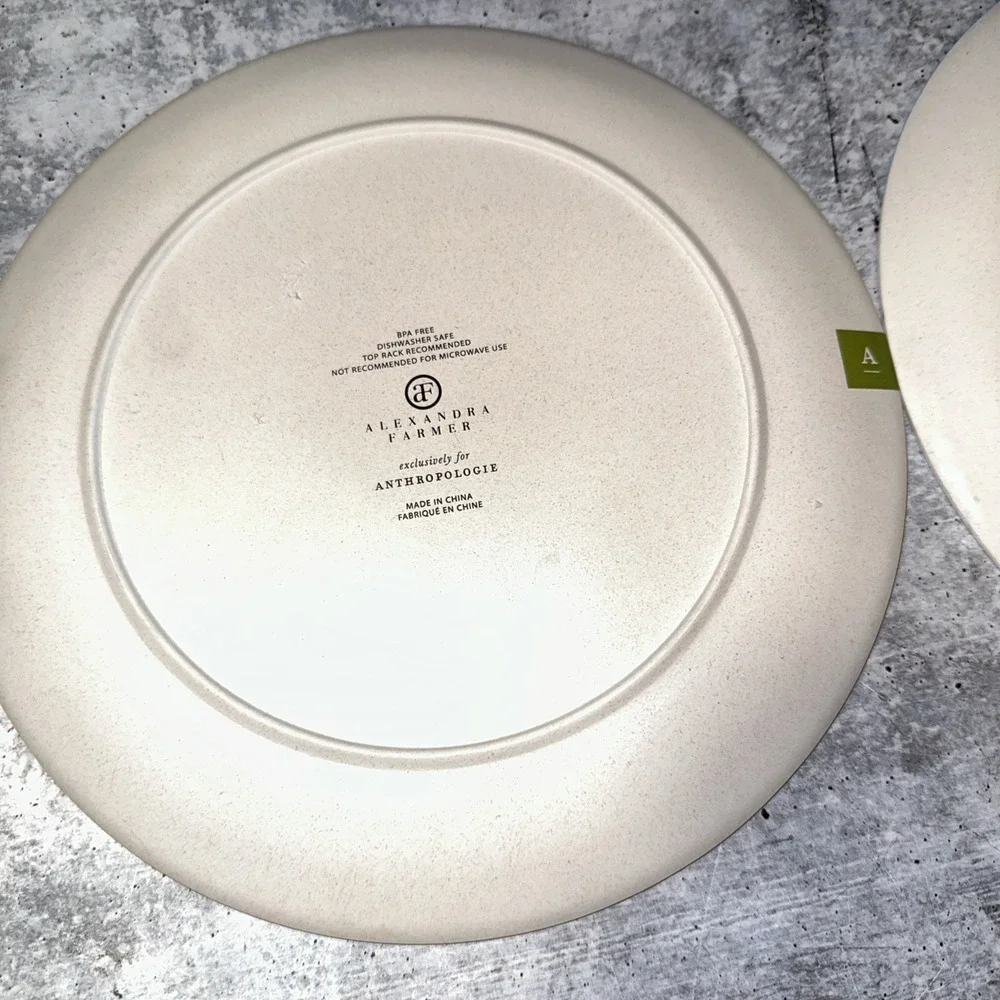 New Anthropologie Alexandra Farmer Floral Flower Melamine Boho Plates 2